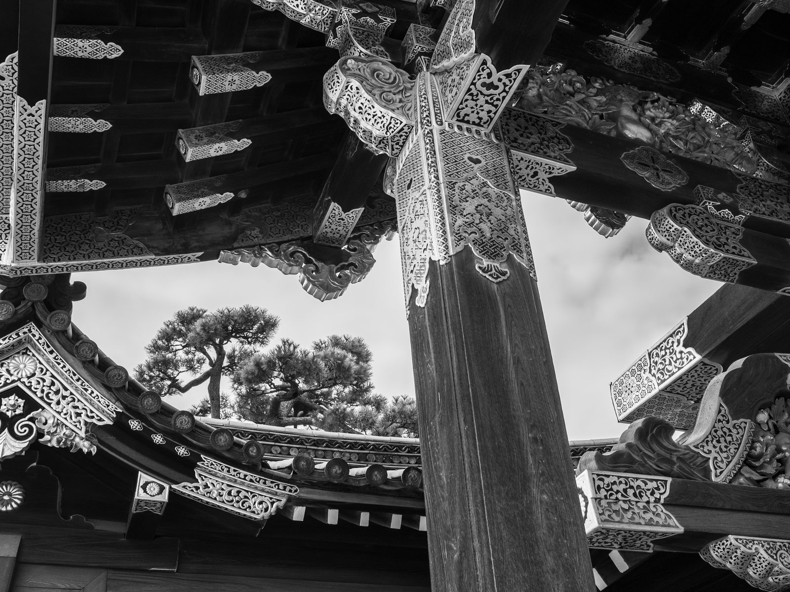 Black-and-white study of ornately carved temple eaves, with a single pine framed in the open sky